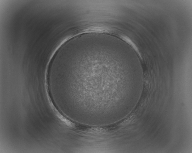 X0000075361091200609151630