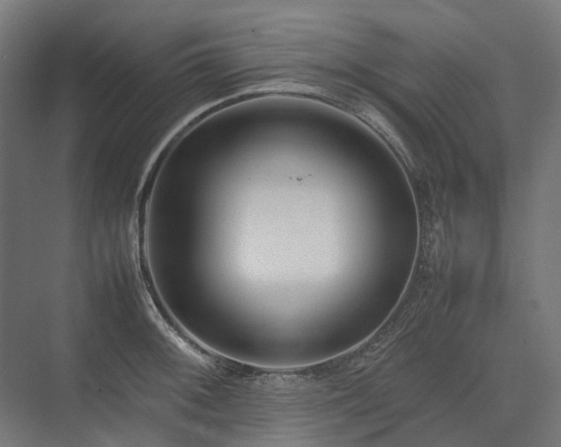 X0000075361092200609151630