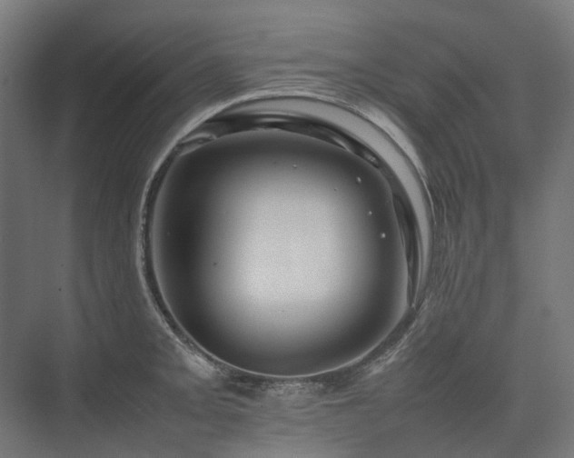 X0000075361093200609151630