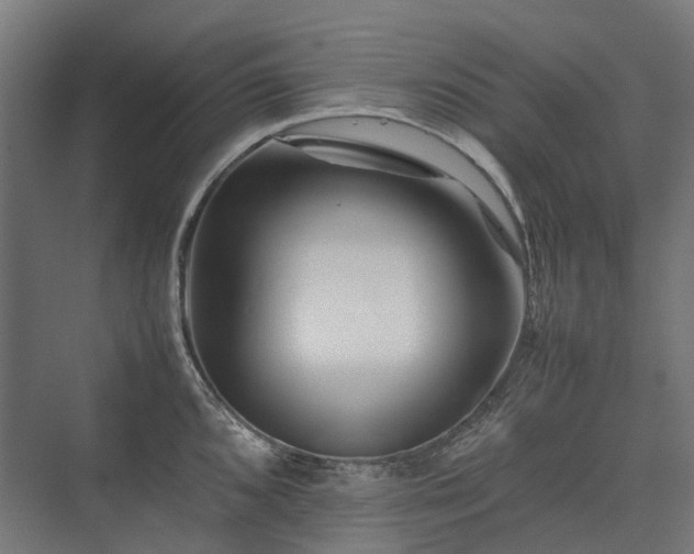 X0000075361096200609151630