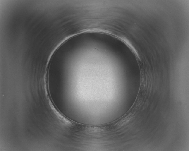 X0000075361100200609151630