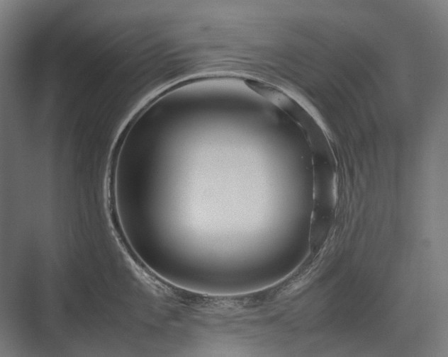 X0000075361101200609151630