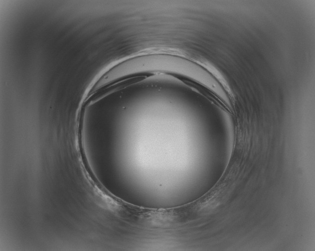 X0000075361102200609151630