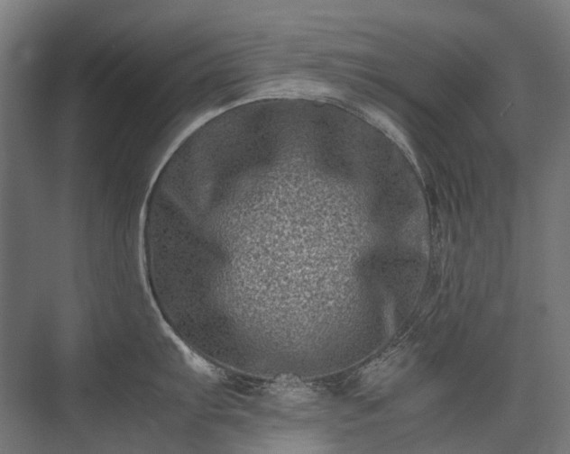 X0000075361103200609151630