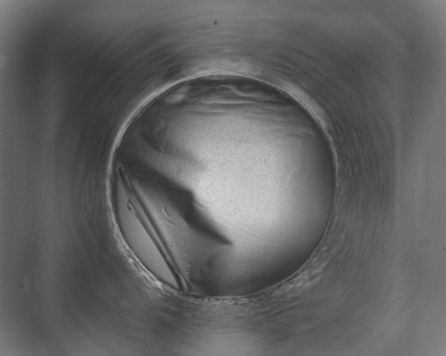 X0000075361104200609151630