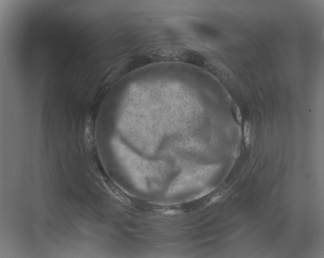 X0000075361107200609151629