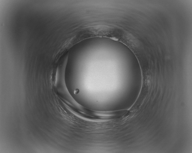 X0000075361108200609151629