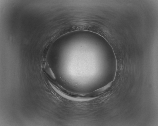 X0000075361109200609151629