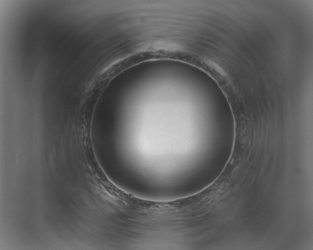 X0000075361112200609151629