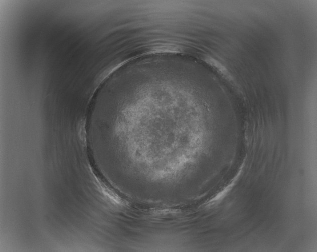 X0000075361113200609151629