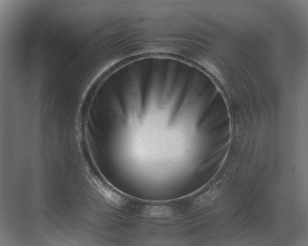 X0000075361119200609151630