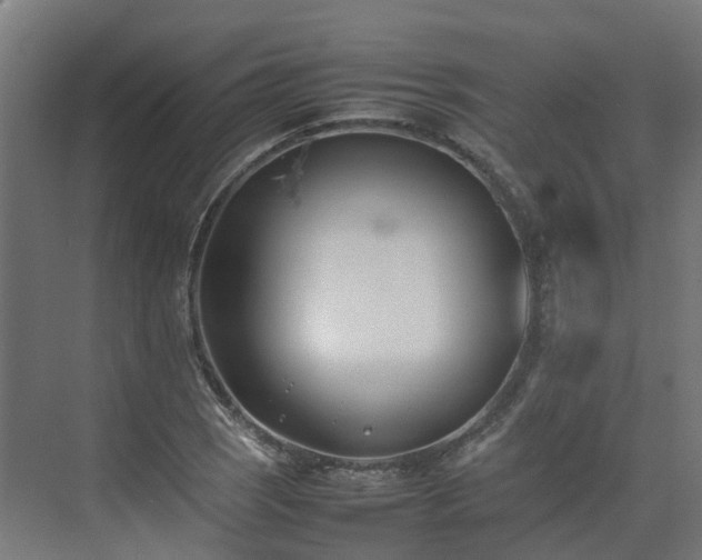 X0000075361121200609151630