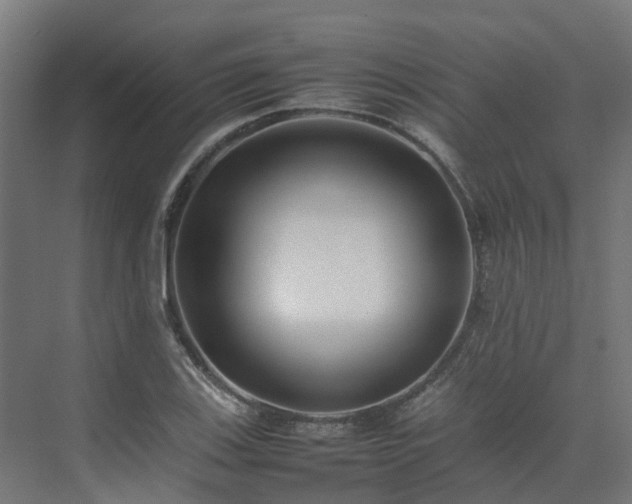 X0000075361123200609151630