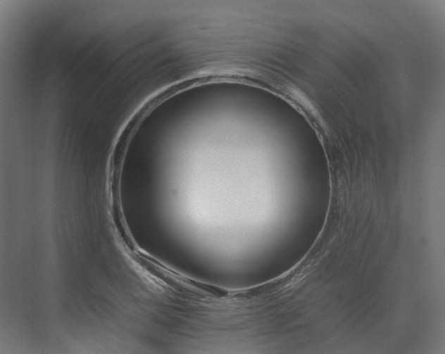 X0000075361124200609151630