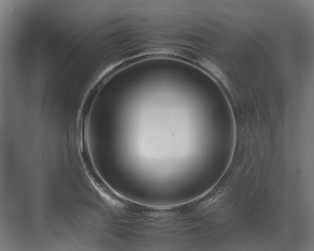 X0000075361127200609151630