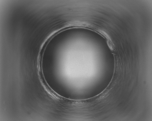 X0000075361128200609151630