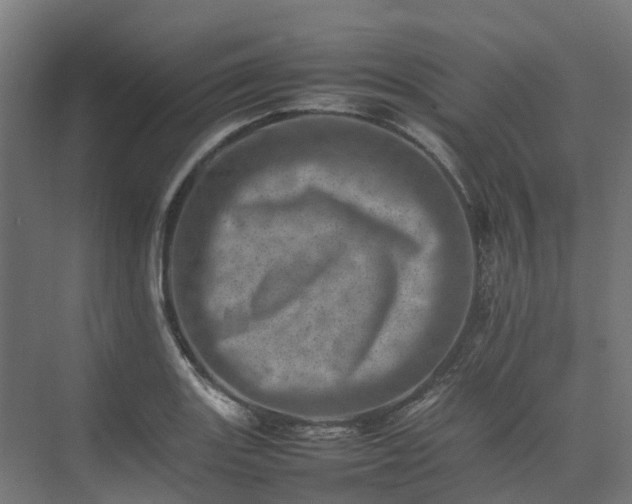 X0000075361131200609151630