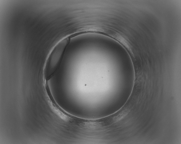 X0000075361132200609151630