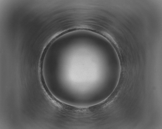 X0000075361133200609151630