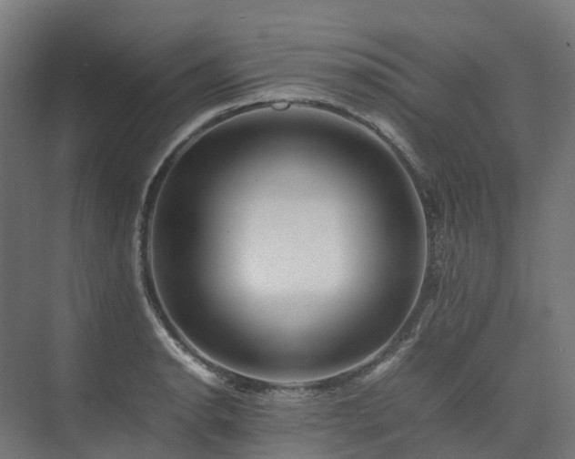 X0000075361134200609151630