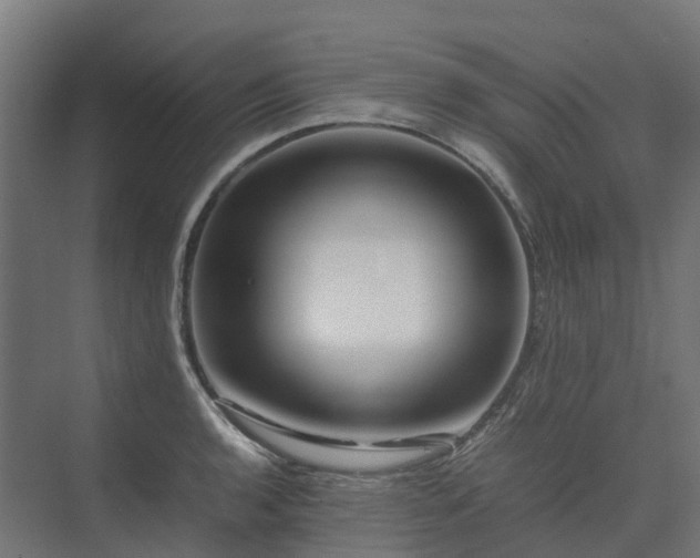 X0000075361136200609151630