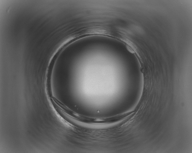 X0000075361139200609151630