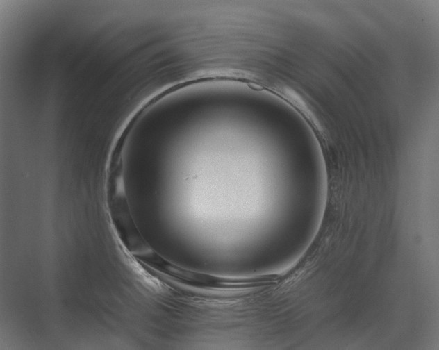 X0000075361140200609151630