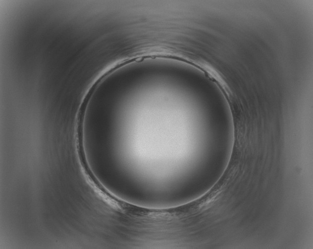 X0000075361142200609151630