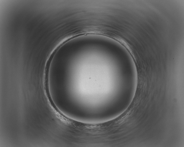 X0000075361147200609151630