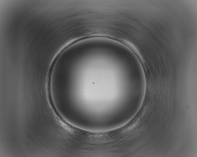 X0000075361149200609151630