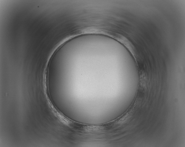 X0000075361150200609151630