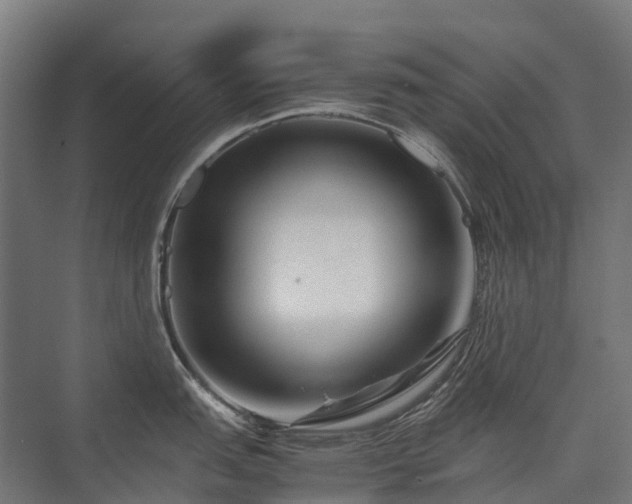 X0000075361151200609151630