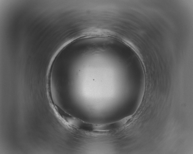 X0000075361152200609151630