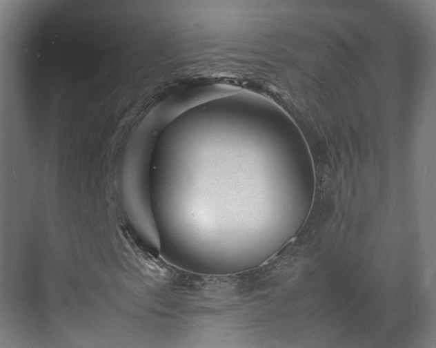 X0000075361153200609151629