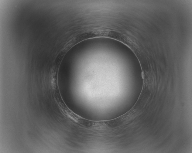 X0000075361154200609151629