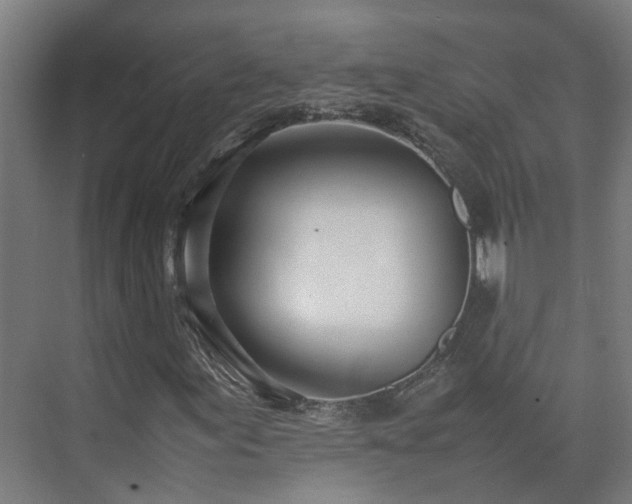 X0000075361155200609151629