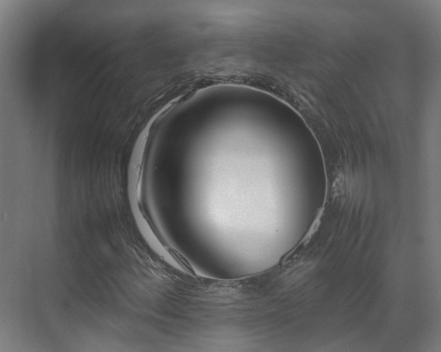 X0000075361156200609151629