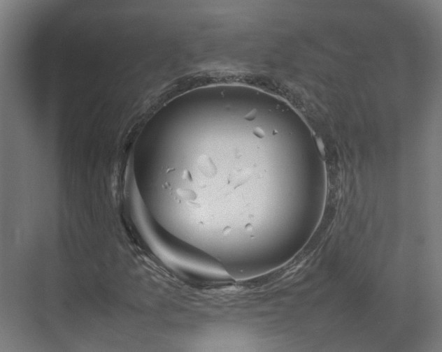 X0000075361157200609151629