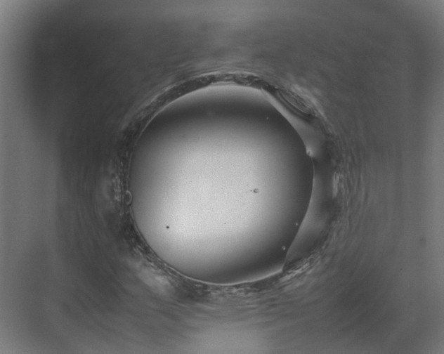 X0000075361159200609151629