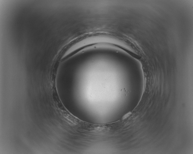 X0000075361160200609151629