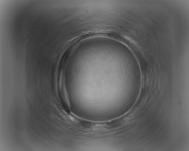 X0000075361161200609151629