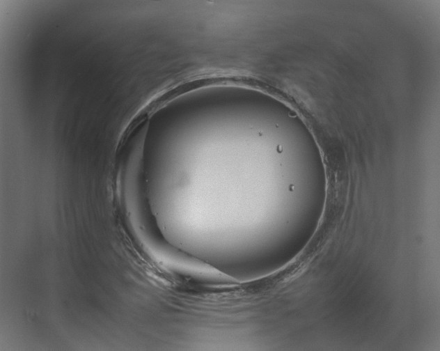 X0000075361165200609151629