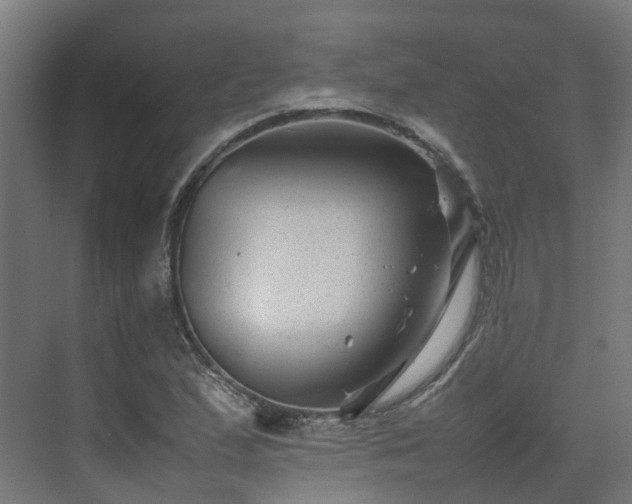 X0000075361167200609151629