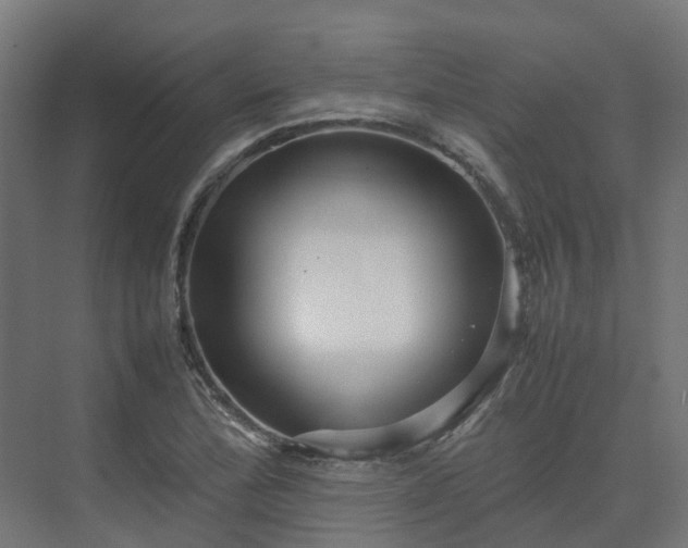 X0000075361172200609151629