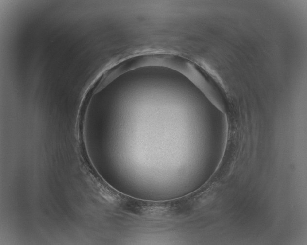 X0000075361173200609151629