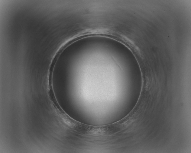 X0000075361174200609151629