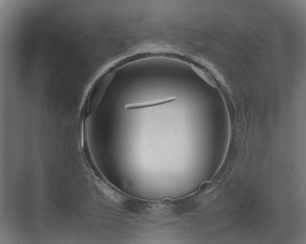 X0000075361175200609151629