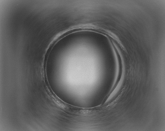 X0000075361176200609151629