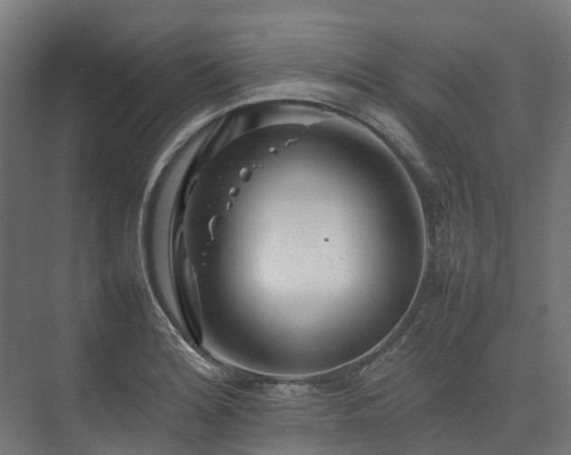 X0000075361180200609151629