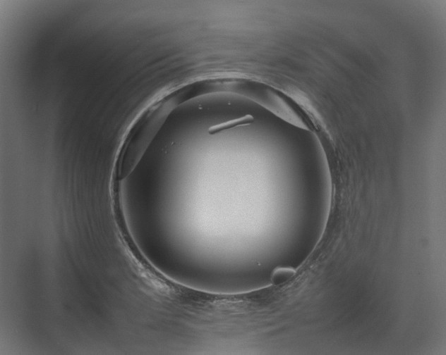 X0000075361181200609151629